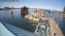 ./images/quadra/hbidock/20250423/hbidock20250423_163007M.jpg