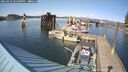 ./images/quadra/hbidock/20250423/hbidock20250423_163500M.jpg