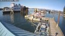 ./images/quadra/hbidock/20250423/hbidock20250423_164008M.jpg
