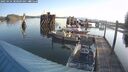 ./images/quadra/hbidock/20250424/hbidock20250424_080009M.jpg