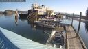 ./images/quadra/hbidock/20250424/hbidock20250424_084500M.jpg