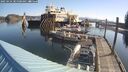 ./images/quadra/hbidock/20250424/hbidock20250424_085500M.jpg
