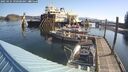 ./images/quadra/hbidock/20250424/hbidock20250424_090500M.jpg