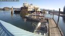 ./images/quadra/hbidock/20250424/hbidock20250424_090508M.jpg