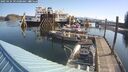 ./images/quadra/hbidock/20250424/hbidock20250424_091000M.jpg