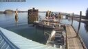 ./images/quadra/hbidock/20250424/hbidock20250424_091509M.jpg