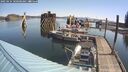 ./images/quadra/hbidock/20250424/hbidock20250424_100500M.jpg
