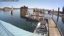 ./images/quadra/hbidock/20250424/hbidock20250424_102000M.jpg