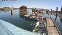 ./images/quadra/hbidock/20250424/hbidock20250424_103009M.jpg