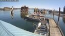 ./images/quadra/hbidock/20250424/hbidock20250424_103500M.jpg