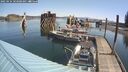 ./images/quadra/hbidock/20250424/hbidock20250424_103508M.jpg