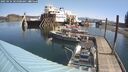 ./images/quadra/hbidock/20250424/hbidock20250424_105000M.jpg