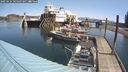 ./images/quadra/hbidock/20250424/hbidock20250424_105507M.jpg