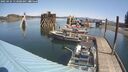 ./images/quadra/hbidock/20250424/hbidock20250424_113508M.jpg