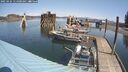 ./images/quadra/hbidock/20250424/hbidock20250424_114500M.jpg