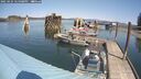 ./images/quadra/hbidock/20250424/hbidock20250424_125008M.jpg