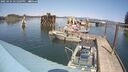 ./images/quadra/hbidock/20250424/hbidock20250424_141009M.jpg