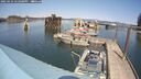 ./images/quadra/hbidock/20250424/hbidock20250424_142009M.jpg