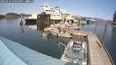 ./images/quadra/hbidock/20250424/hbidock20250424_150009M.jpg
