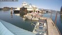 ./images/quadra/hbidock/20250424/hbidock20250424_150500M.jpg