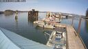 ./images/quadra/hbidock/20250424/hbidock20250424_151508M.jpg