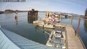 ./images/quadra/hbidock/20250424/hbidock20250424_154500M.jpg