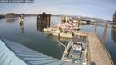./images/quadra/hbidock/20250424/hbidock20250424_161009M.jpg
