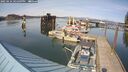 ./images/quadra/hbidock/20250424/hbidock20250424_161508M.jpg