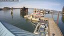 ./images/quadra/hbidock/20250424/hbidock20250424_162500M.jpg