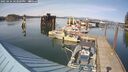 ./images/quadra/hbidock/20250424/hbidock20250424_163009M.jpg