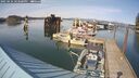 ./images/quadra/hbidock/20250424/hbidock20250424_163500M.jpg