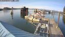 ./images/quadra/hbidock/20250424/hbidock20250424_174008M.jpg