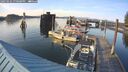 ./images/quadra/hbidock/20250424/hbidock20250424_190000M.jpg