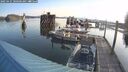 ./images/quadra/hbidock/20250425/hbidock20250425_080506M.jpg