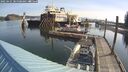 ./images/quadra/hbidock/20250425/hbidock20250425_085508M.jpg
