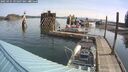 ./images/quadra/hbidock/20250425/hbidock20250425_095007M.jpg