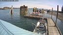 ./images/quadra/hbidock/20250425/hbidock20250425_103507M.jpg