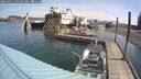 ./images/quadra/hbidock/20250425/hbidock20250425_104007M.jpg