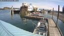 ./images/quadra/hbidock/20250425/hbidock20250425_104509M.jpg