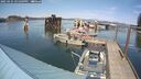 ./images/quadra/hbidock/20250425/hbidock20250425_151509M.jpg
