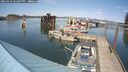 ./images/quadra/hbidock/20250425/hbidock20250425_152507M.jpg