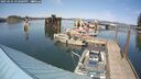 ./images/quadra/hbidock/20250425/hbidock20250425_153000M.jpg
