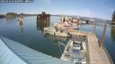 ./images/quadra/hbidock/20250425/hbidock20250425_153009M.jpg
