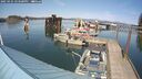 ./images/quadra/hbidock/20250425/hbidock20250425_153500M.jpg