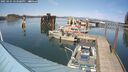 ./images/quadra/hbidock/20250425/hbidock20250425_153508M.jpg