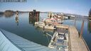 ./images/quadra/hbidock/20250425/hbidock20250425_154509M.jpg