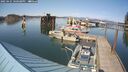 ./images/quadra/hbidock/20250425/hbidock20250425_160508M.jpg