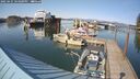 ./images/quadra/hbidock/20250425/hbidock20250425_164000M.jpg