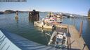 ./images/quadra/hbidock/20250425/hbidock20250425_171008M.jpg