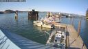 ./images/quadra/hbidock/20250425/hbidock20250425_171509M.jpg